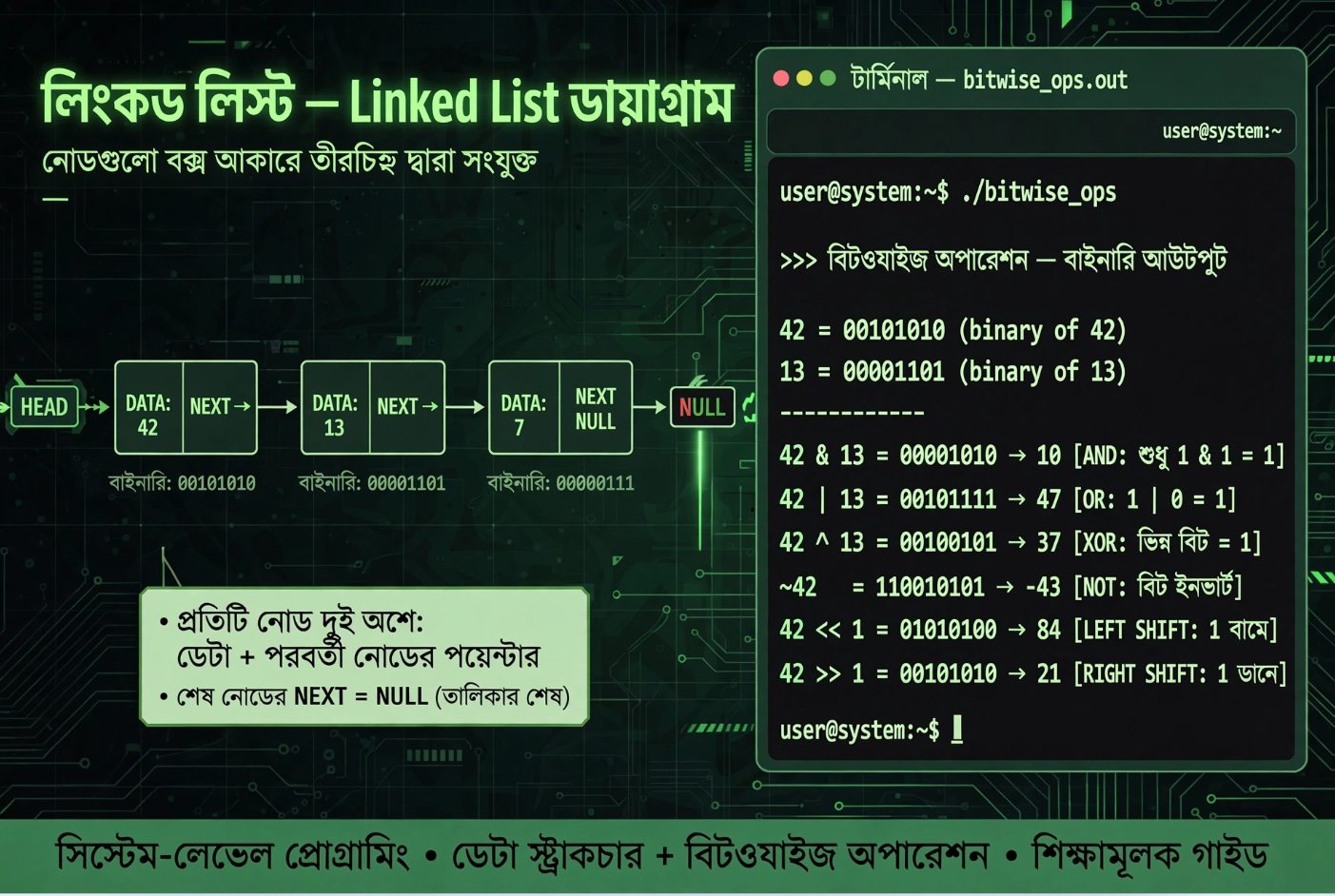 C Programming A to Z (পর্ব-৩) ডেটা স্ট্রাকচার, বিটওয়াইজ ম্যাজিক ও মাল্টি-ফাইল প্রোজেক্ট