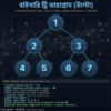 C Programming A to Z (পর্ব-৬) ট্রি, গ্রাফ, বিগ-ও নোটেশন ও ক্যাপস্টোন প্রোজেক্ট