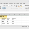 Excel Format Painter Button in Ribbon