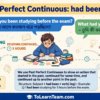 Past Perfect Continuous YesNo and Wh-How questions with had been, full Bangla meanings for questions and answers – Spoken English for Bengali learners.