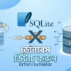 SQLite DETACH DATABASE কমান্ড ব্যবহার করে সংযুক্ত ডাটাবেস বিচ্ছিন্ন করার বাংলা টিউটোরিয়াল