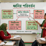 শিক্ষক ব্ল্যাকবোর্ডে ধ্বনির পরিবর্তনের প্রকারভেদ ও উদাহরণ দেখাচ্ছেন